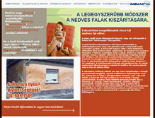 Tablet Screenshot of falszaritas.info